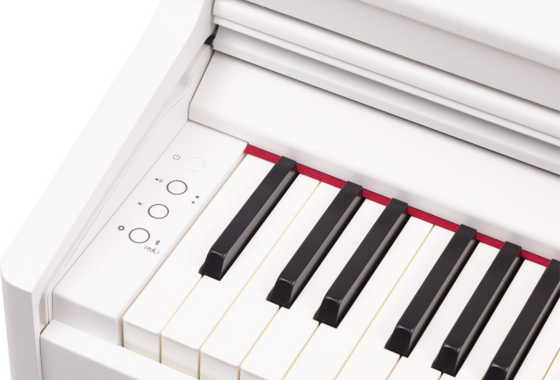 ĐÀN PIANO ROLAND RP 701